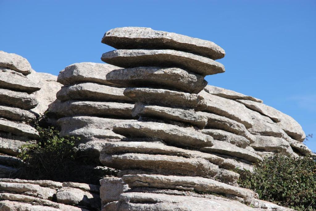 Cortijo Sabila ξενώνας Villanueva del Rosario Εξωτερικό φωτογραφία