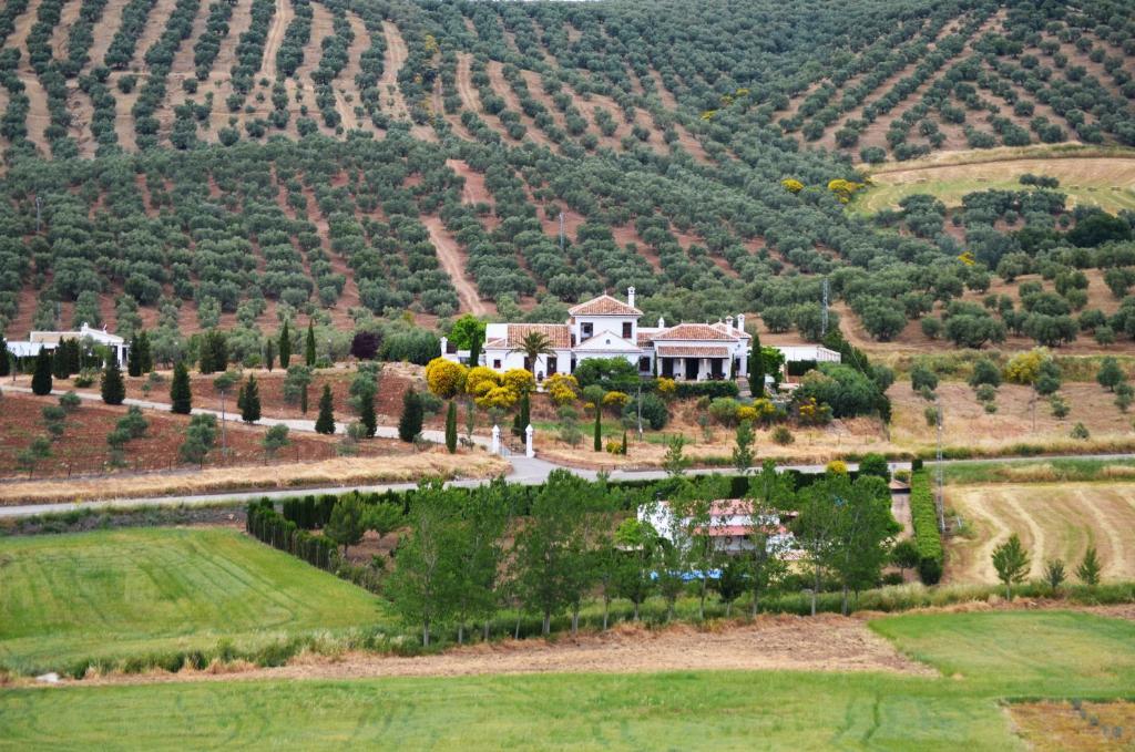 Cortijo Sabila ξενώνας Villanueva del Rosario Εξωτερικό φωτογραφία